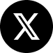 X icon